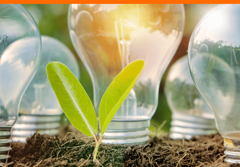 Glühbirnen, die auf Erde stehen, mit einem grünen Keimling im Vordergrund, symbolisieren