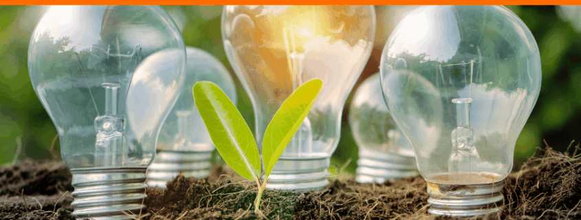Glühbirnen, die auf Erde stehen, mit einem grünen Keimling im Vordergrund, symbolisieren