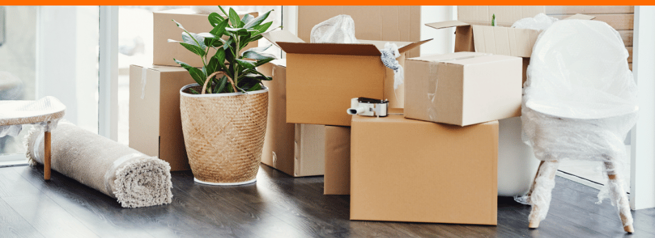 Umzugskartons und Pflanzen – Strom anmelden oder Strom abmelden beim Umzug